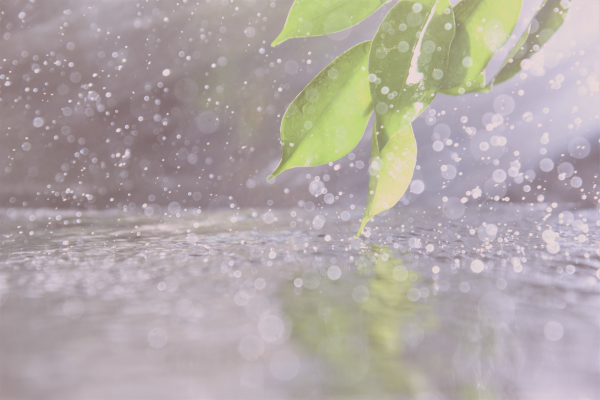 6月の梅雨にフェムケアをする女性画像