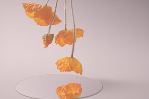 フェムケアで「白」を目指していた私が、白くするのをやめた理由記事内、鏡でショックを受ける画像